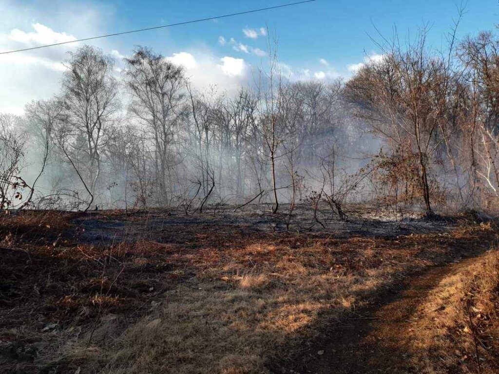 Incendio sul Monte Morone tra Solbiate e Malnate