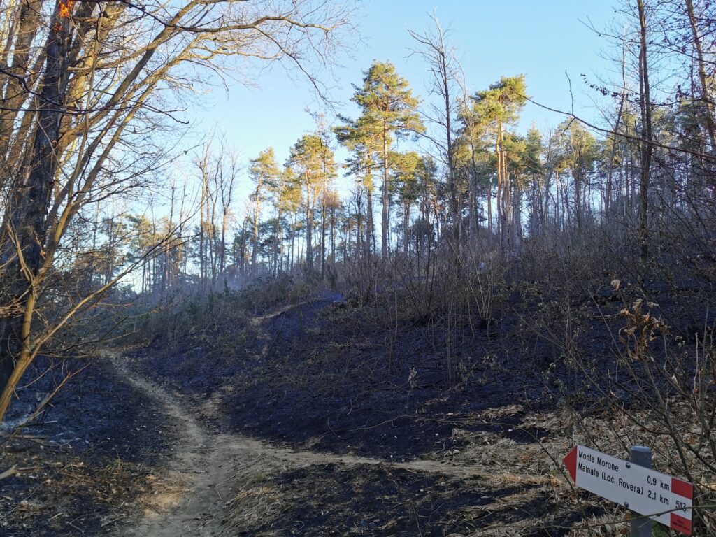 Incendio sul Monte Morone tra Solbiate e Malnate