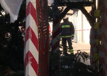 Allerta meteo. ponteggio coperto dalla caduta di un albero con un vigile del fuoco. via brambilla como