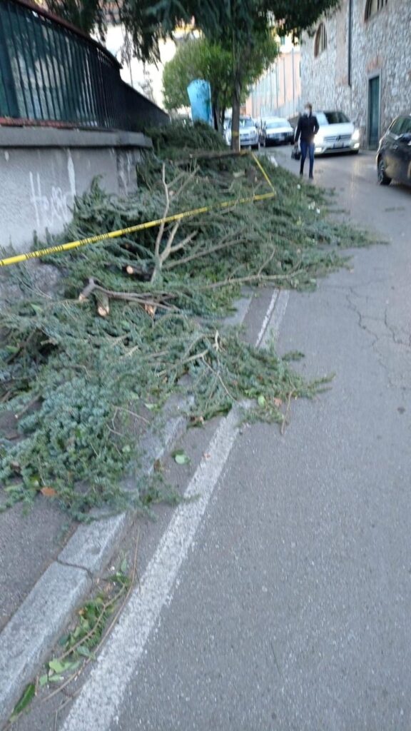 Da stamattina è rovente il centralino del comando di via Valleggio