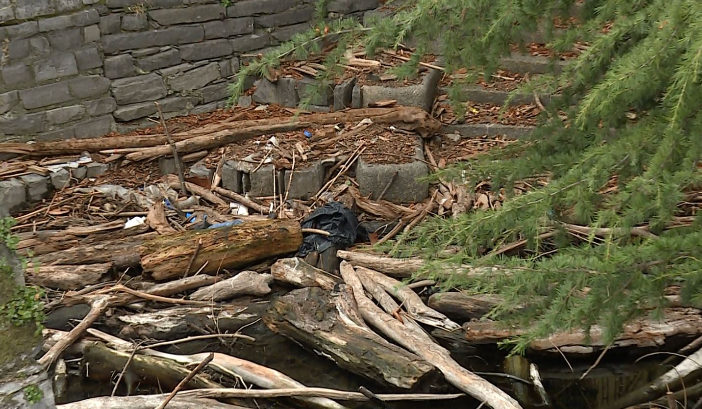 Darsene davanti a Villa Saporiti piene di rami