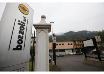 Animalisti contro utilizzo maiale in fonderia per caso Bozzoli