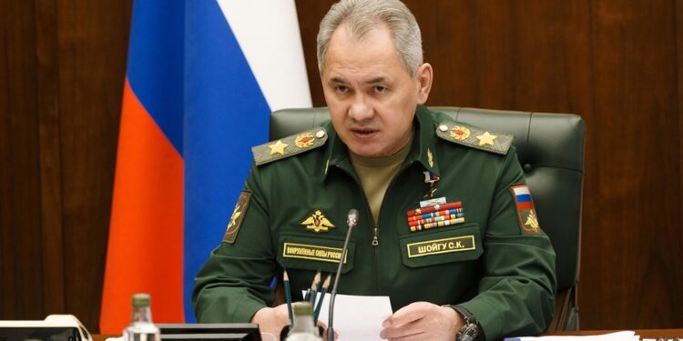 Così il ministro della difesa russo Shoigu