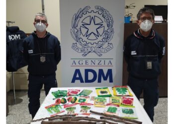 Controlli dell'Agenzia delle dogane in aeroporto a Elmas