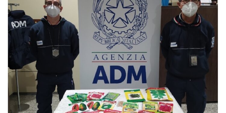 Controlli dell'Agenzia delle dogane in aeroporto a Elmas