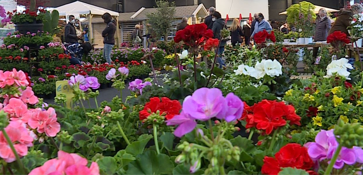 Lariofiere ospita “Agrinatura”, attesi 30mila visitatori. Info e orari