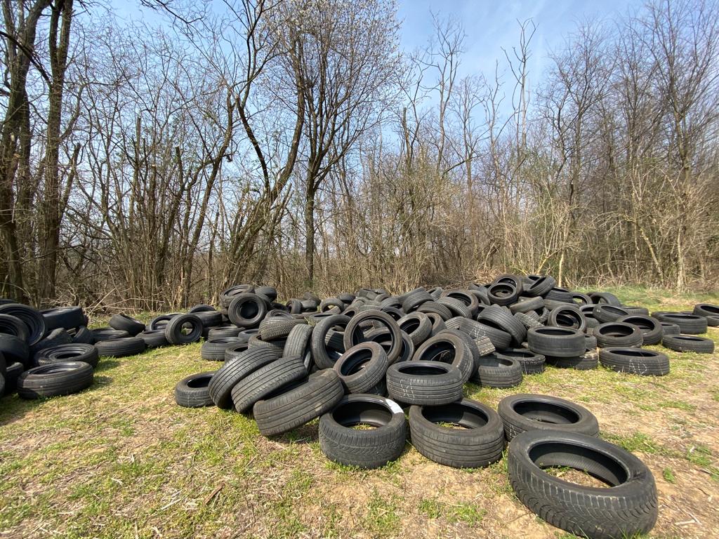 Gomme abbandonate nel Parco Pineta, la Procura di Como apre un fascicolo
