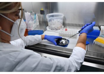 I pazienti ricoverati sono 70