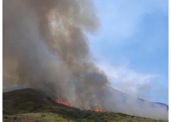 Sono intervenuti un canadair e un elicottero