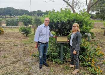 Nel rione Ciaculli Palermo curato da sindacato giornalisti e Anm