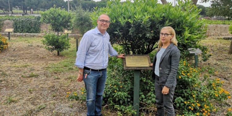 Nel rione Ciaculli Palermo curato da sindacato giornalisti e Anm