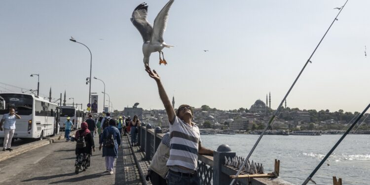 Catturato a Istanbul Abu al-Hasan al-Qurashi