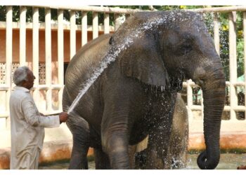 E' allerta per carenza d'acqua e minacce alla salute