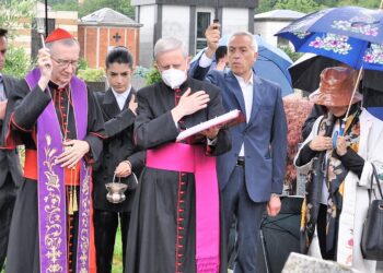 Cardinale Parolin Erba