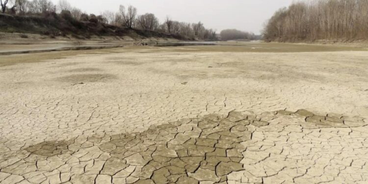 Lago Maggiore al minimo storico. 'Situazione è drammatica'