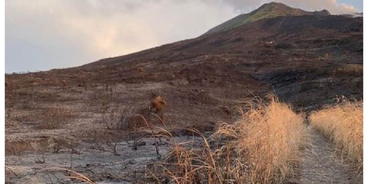 Dopo il disastroso incendio divampato il 25 maggio