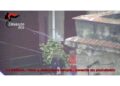 Operazione dei carabinieri alla periferia orientale di Palermo