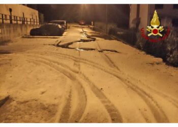 Rimossi alberi dalle strade