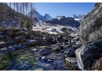 Primi Piemonte e Friuli Venezia Giulia