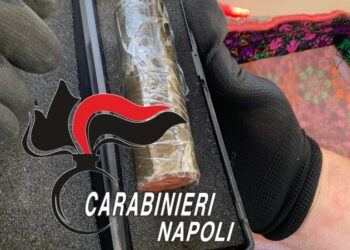 C'era anche un agnello al pascolo: intervengono gli artificieri
