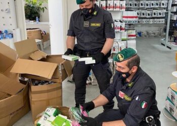 Operazione della Guardia di finanza nel catanzarese