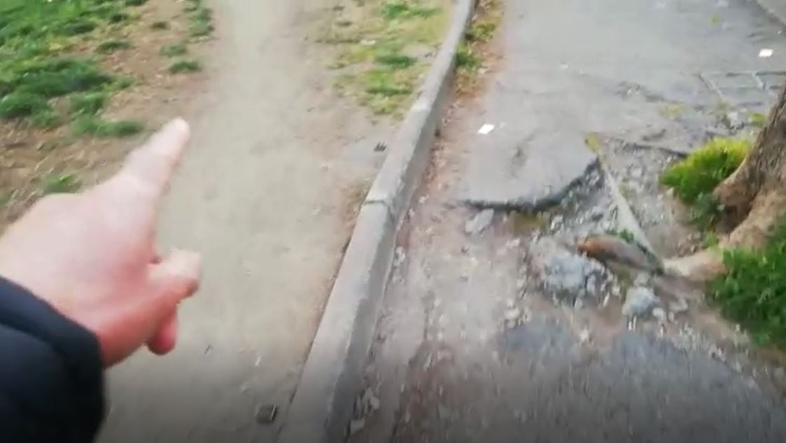 Buche e gobbe sull’asfalto, il video di un comasco per documentare il degrado