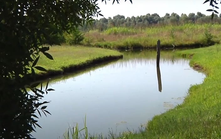 Allarme siccità. Fontana: “Equilibrio tra esigenze mondo agricolo e civile”