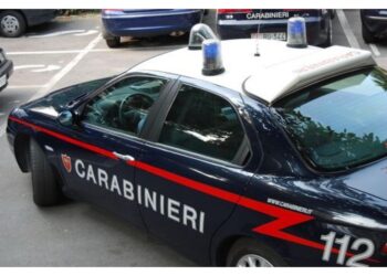 Uno è il nipote di un esponente della 'ndrangheta