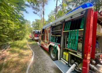 Tempestivamente spento dai vigili del fuoco