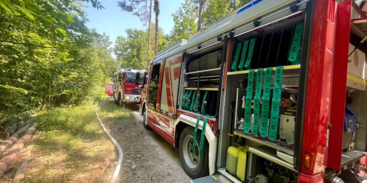 Tempestivamente spento dai vigili del fuoco