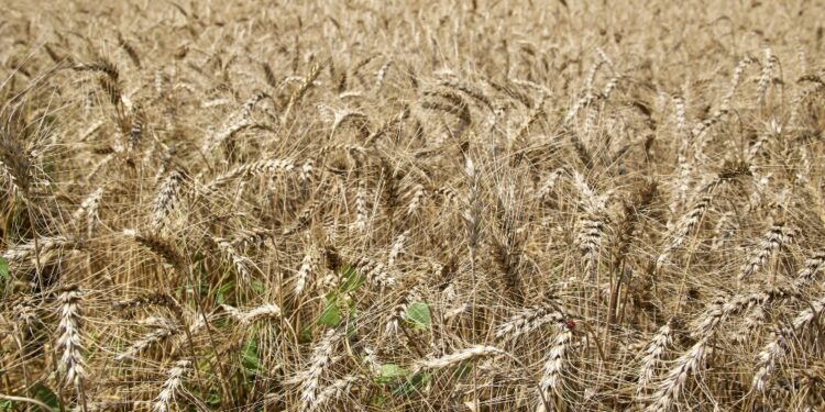 La circolazione potrebbe riprendere nei prossimi giorni