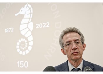 'Ci vuole attenzione