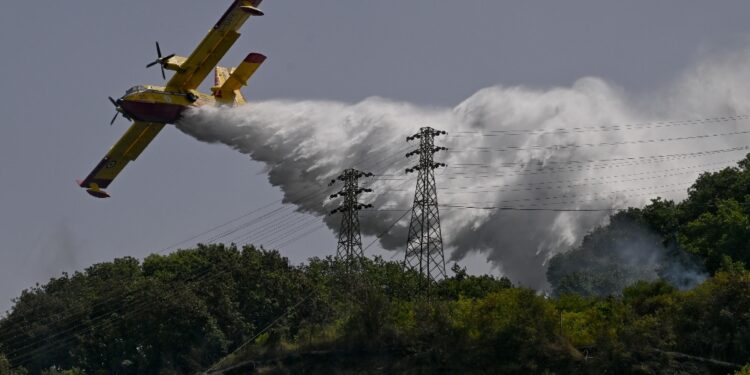 Le fiamme si sono estesi su circa 15 ettari di vegetazione