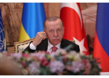 Presidente turco: 'Siamo decisi a continuare sforzi diplomatici'