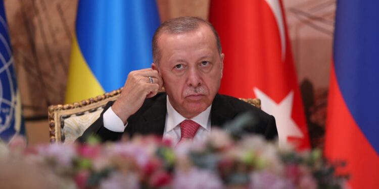 Presidente turco: 'Siamo decisi a continuare sforzi diplomatici'