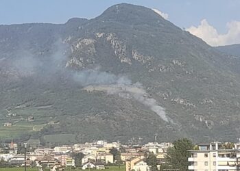 Interventi sulle passeggiate del Guncina e Sant'Osvaldo