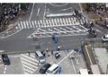 Lo ha riferito la polizia della prefettura di Nara