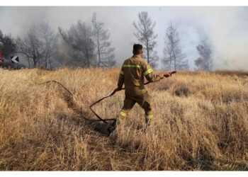 Incendi a nord