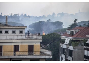 C'è stata la mano dell'uomo