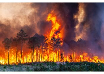 Fronti di fuoco hanno raggiunto la costa atlantica