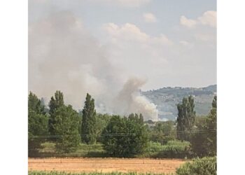 Bonifiche in corso da parte dei Vigili fuoco