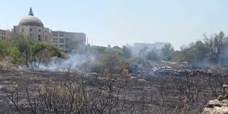 Bruciati dieci ettari di macchia mediterranea