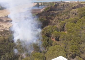 Anche velivolo della Regione Veneto. Sul posto Vigili del fuoco