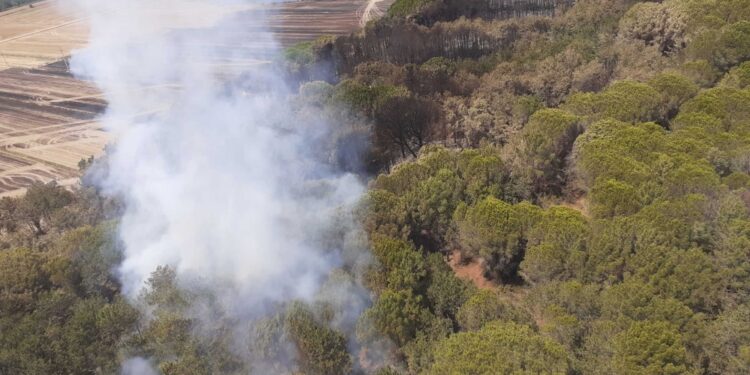 Anche velivolo della Regione Veneto. Sul posto Vigili del fuoco