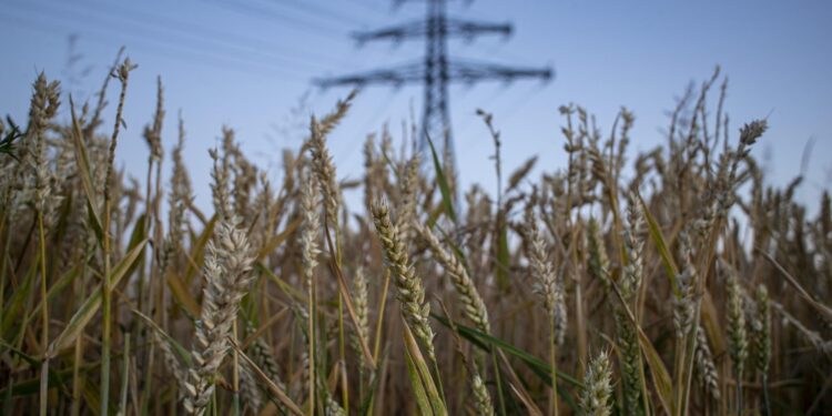 Città alimentata da distributore energia d'oltreconfine