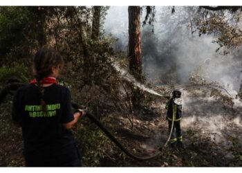 Fiamme non lontano da un camping