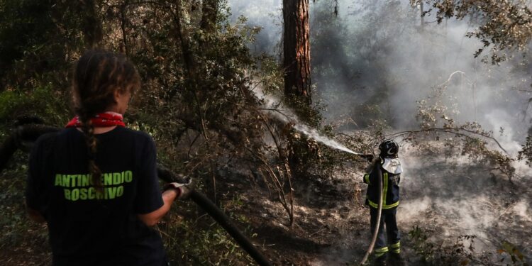 Fiamme non lontano da un camping