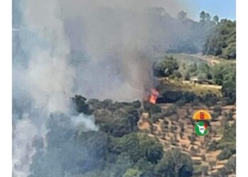 A Roccastrada. Fiamme alimentate da forte vento di tramontana