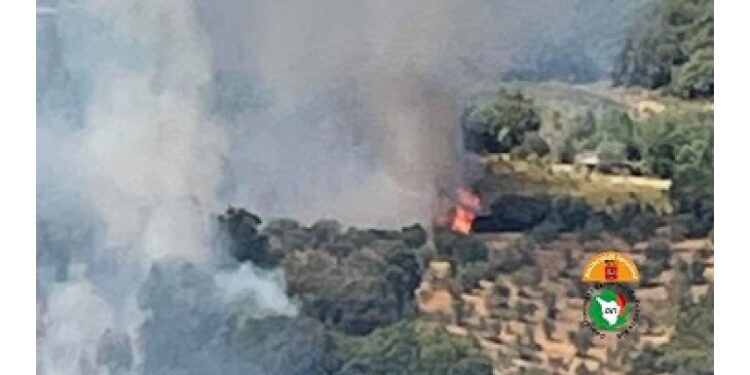 A Roccastrada. Fiamme alimentate da forte vento di tramontana