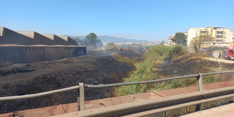 Fiamme in un canneto quasi domate